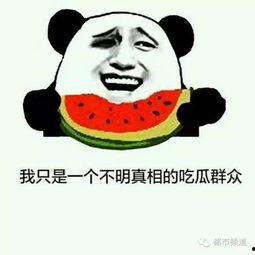 网络上说吃瓜是什么意思,吃瓜背后的含义与趣味