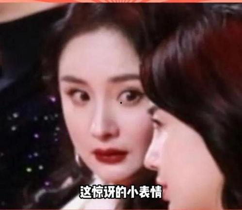 喜欢吃娱乐圈的瓜